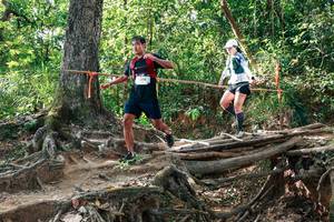 BIB: 
                            <button type="button" onclick="openModal(27558719)" class="btn btn-primary btn-sm float-right btn-popup" data-toggle="modal" data-target=".modal-high-quality">
                        <i class="fas fa-shopping-cart"></i> Add to Cart
                    </button>
                                            <button type="button" onclick="isThisMe(27558719, true)" class="btn btn-success btn-sm float-right btn-popup btn-isme hidden" data-toggle="tooltip" data-placement="bottom" title="นี่คือรูปของคุณใช่ไหม คลิกที่นี่เพื่อเอาเข้าอัลบั้ม">
                        <i class="fas fa-plus"></i> Add to album
                    </button>
                    <button type="button" onclick="isThisMe(27558719, false)" class="btn btn-warning btn-sm float-right btn-popup btn-isnotme hidden">
                        <i class="fas fa-ban"></i> Remove from album
                    </button>